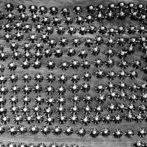 Aufbaumodul Begleitung FA-AMB